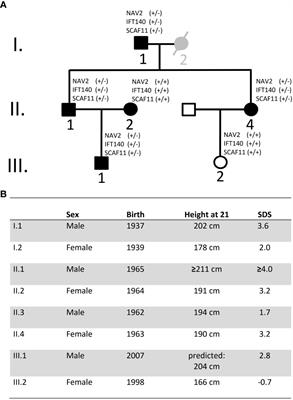 Identification of novel genes including NAV2 associated with isolated tall stature